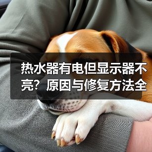 热水器有电但显示器不亮?原因与修复方法全解析(图3) 热水器有电但显示器不亮?原因与修复方法全解析(图3)