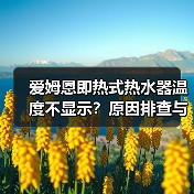 爱姆恩即热式热水器温度不显示?原因排查与修复指南(图4) 爱姆恩即热式热水器温度不显示?原因排查与修复指南(图4)