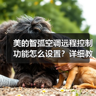 美的智弧空调远程控制功能怎么设置？详细教程手把手教 - 辰飞雨易拓智能家居网