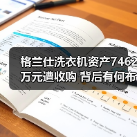 格兰仕洗衣机资产7462万元遭收购 背后有何布局？ - 辰飞雨易拓智能家居网