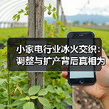 小家电行业冰火交织：调整与扩产背后真相为何？ - 辰飞雨易拓智能家居网