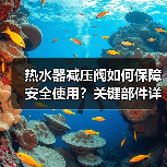 热水器减压阀如何保障安全使用?关键部件详解(图2) 热水器减压阀如何保障安全使用?关键部件详解(图2)