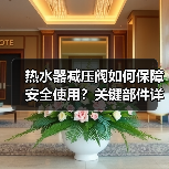 热水器减压阀如何保障安全使用?关键部件详解(图4) 热水器减压阀如何保障安全使用?关键部件详解(图4)