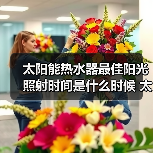 太阳能热水器最佳阳光照射时间是什么时候 太阳能热水器最佳阳光照射时间介绍【详解】(图4) 太阳能热水器最佳阳光照射时间是什么时候 太阳能热水器最佳阳光照射时间介绍【详解】(图4)