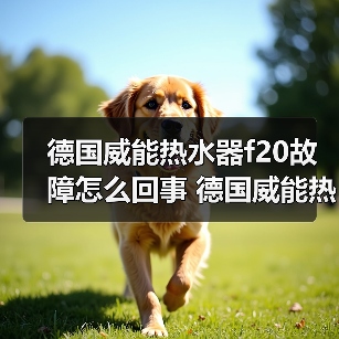 德国威能热水器f20故障怎么回事 德国威能热水器f20故障原因及解决方法【详解】(图2) 德国威能热水器f20故障怎么回事 德国威能热水器f20故障原因及解决方法【详解】(图2)
