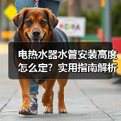 电热水器水管安装高度怎么定？实用指南解析(图4)