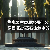 热水器右边漏水是什么原因 热水器右边漏水的原因及解决方法【详解】(图2)