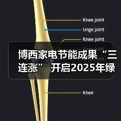 博西家电节能成果“三连涨” 开启2025年绿色篇章(图4)