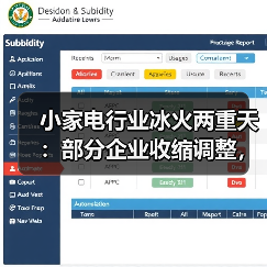 小家电行业冰火两重天：部分企业收缩调整，另一些却加速扩产 - 辰飞雨易拓智能家居网