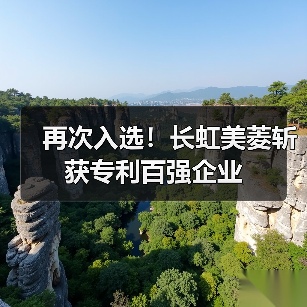 再次入选!长虹美菱斩获专利百强企业(图2) 再次入选!长虹美菱斩获专利百强企业(图2)