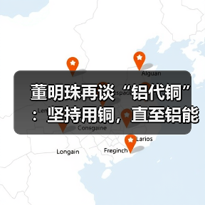 董明珠再谈“铝代铜”:坚持用铜,直至铝能完全替代(图4) 董明珠再谈“铝代铜”:坚持用铜,直至铝能完全替代(图4)