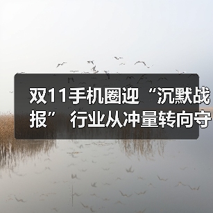 双11手机圈迎“沉默战报” 行业从冲量转向守局(图2) 双11手机圈迎“沉默战报” 行业从冲量转向守局(图2)