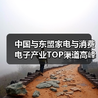 中国与东盟家电与消费电子产业TOP渠道高峰会成功举办 - 辰飞雨易拓智能家居网