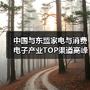 中国与东盟家电与消费电子产业TOP渠道高峰会成功举办(图3) 中国与东盟家电与消费电子产业TOP渠道高峰会成功举办(图3)