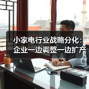 小家电行业战略分化:企业一边调整一边扩产(图3) 小家电行业战略分化:企业一边调整一边扩产(图3)