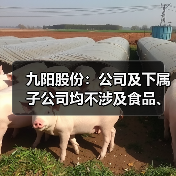 九阳股份：公司及下属子公司均不涉及食品、